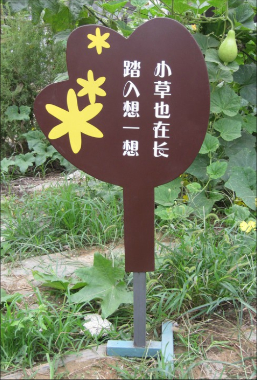 XD-C022